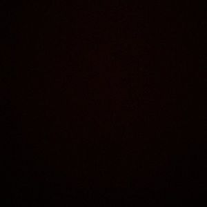 Meet your Posher, Joewanna